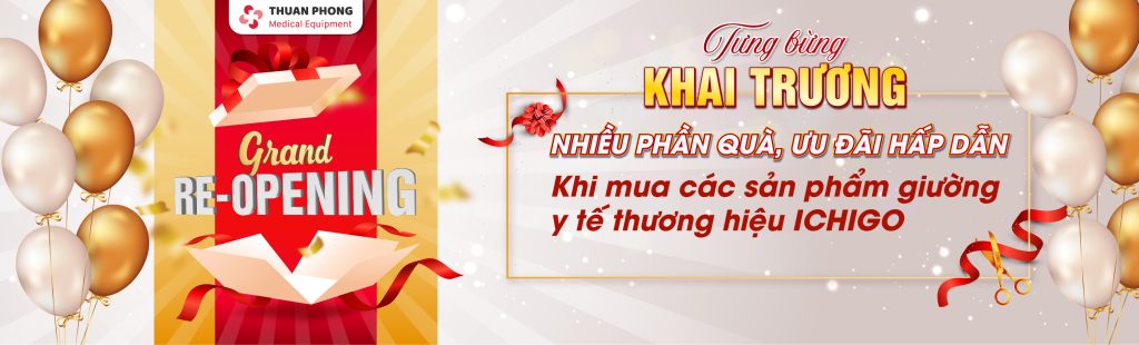 Giường Bệnh Chính Hãng