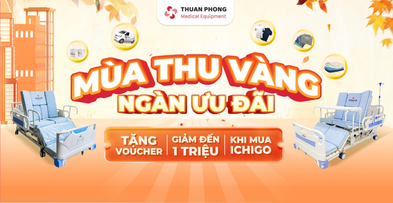 Giường Bệnh Chính Hãng
