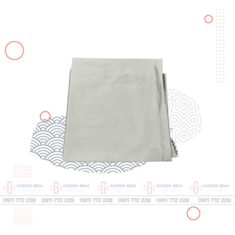 Giường Bệnh Chính Hãng