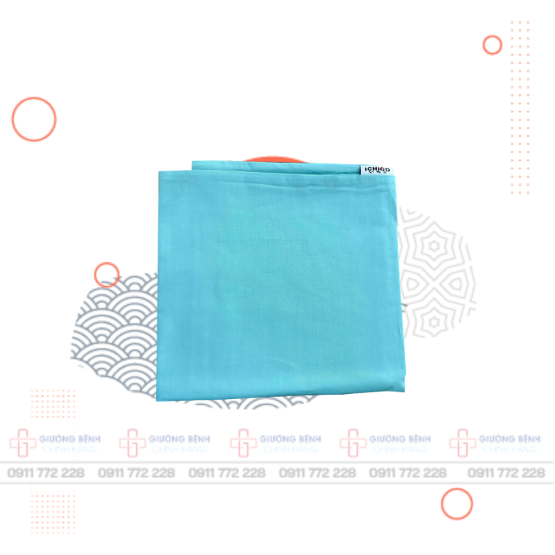 Giường Bệnh Chính Hãng