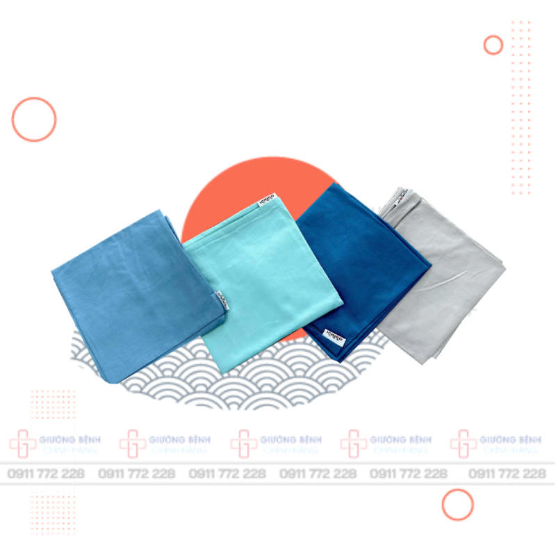 Giường Bệnh Chính Hãng