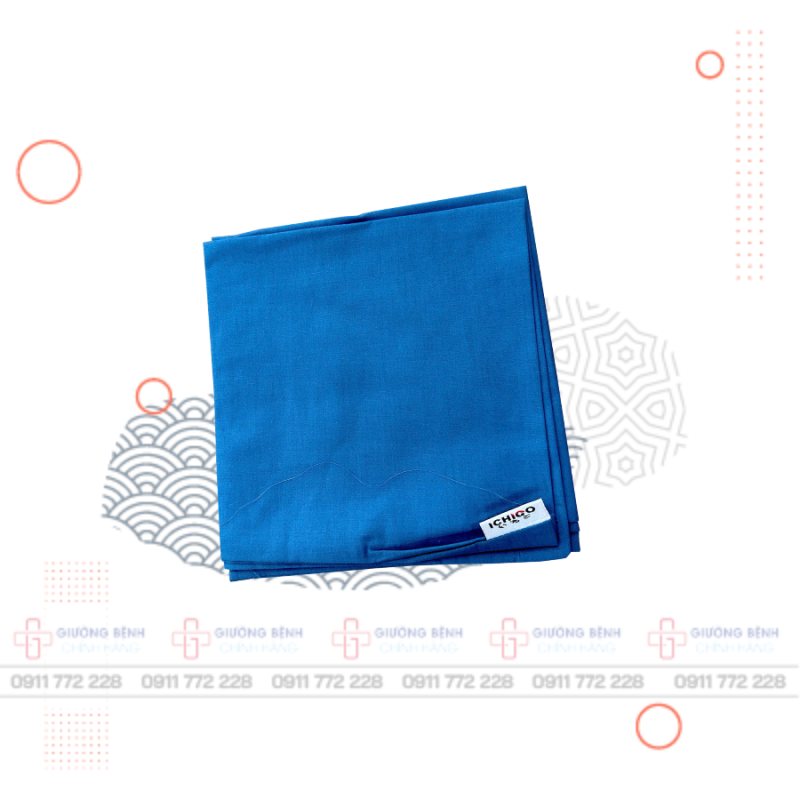 Giường Bệnh Chính Hãng