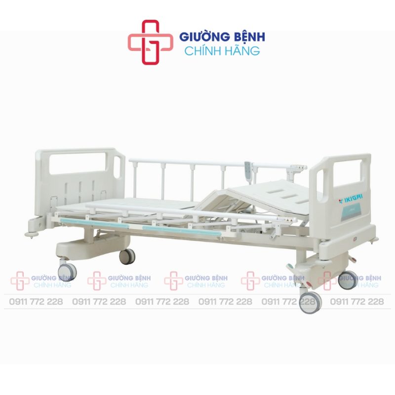 Giường Bệnh Chính Hãng