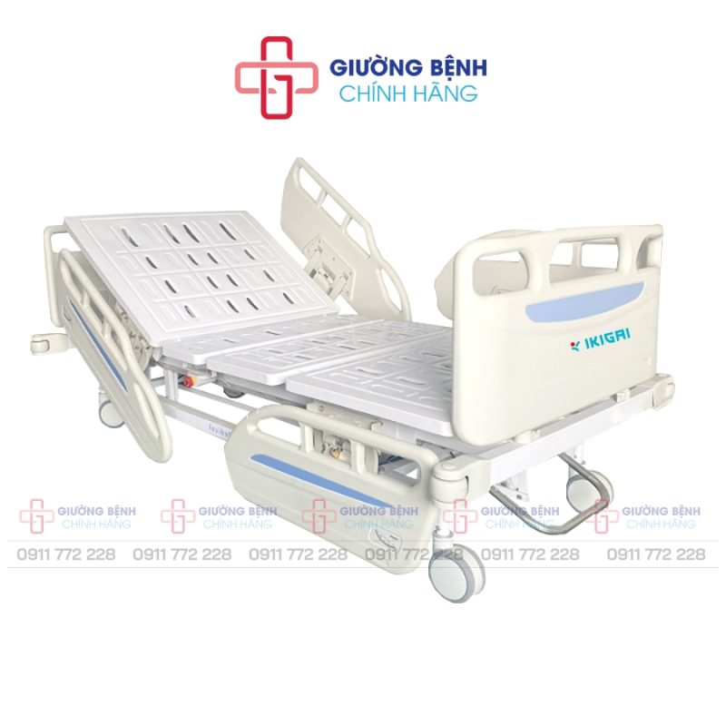 Giường Bệnh Chính Hãng