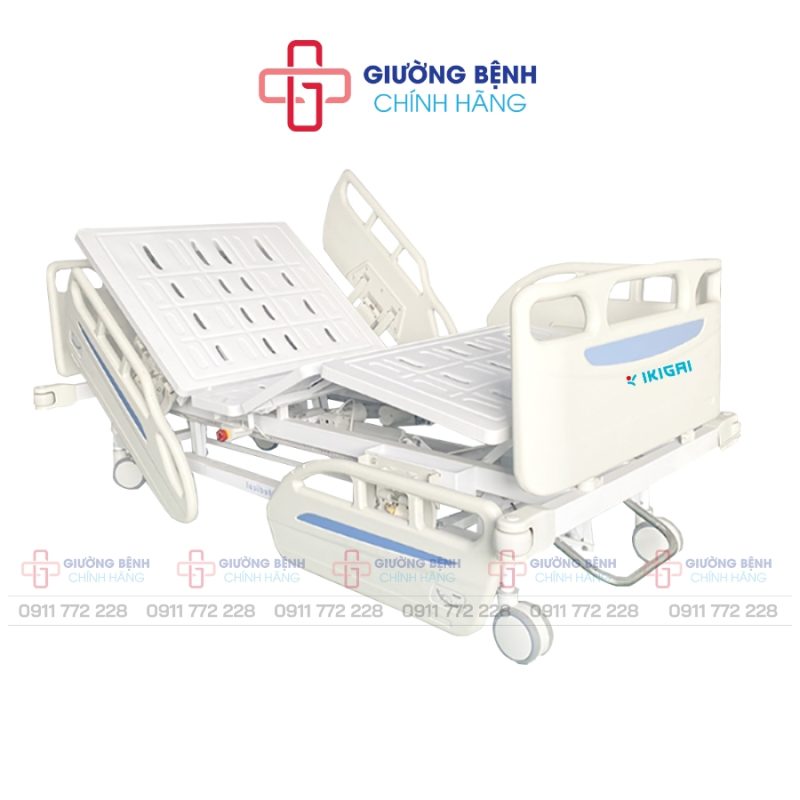 Giường Bệnh Chính Hãng