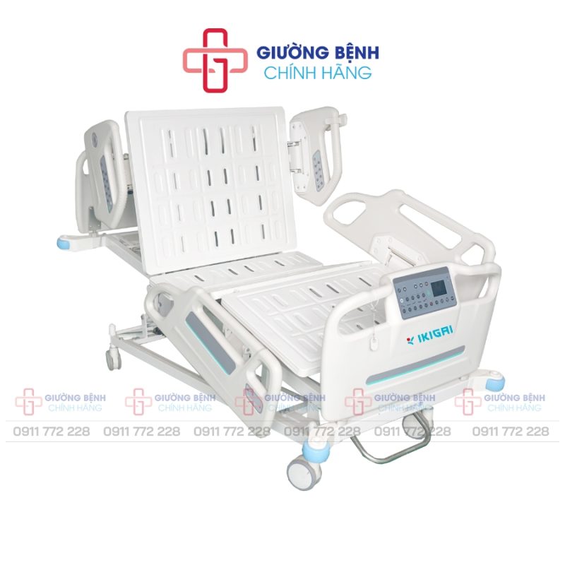 Giường Bệnh Chính Hãng
