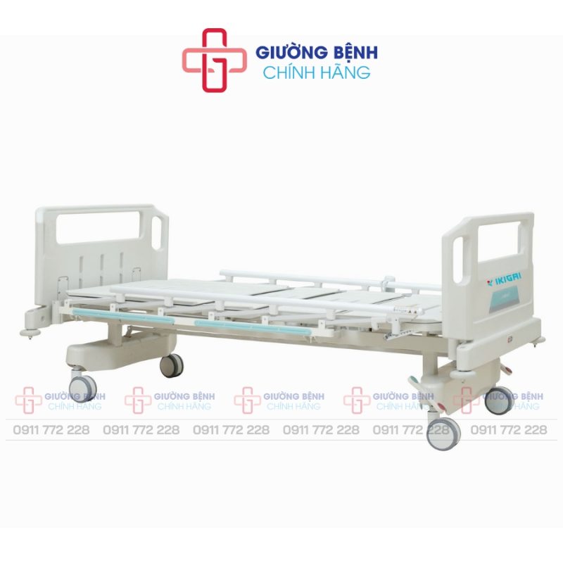 Giường Bệnh Chính Hãng