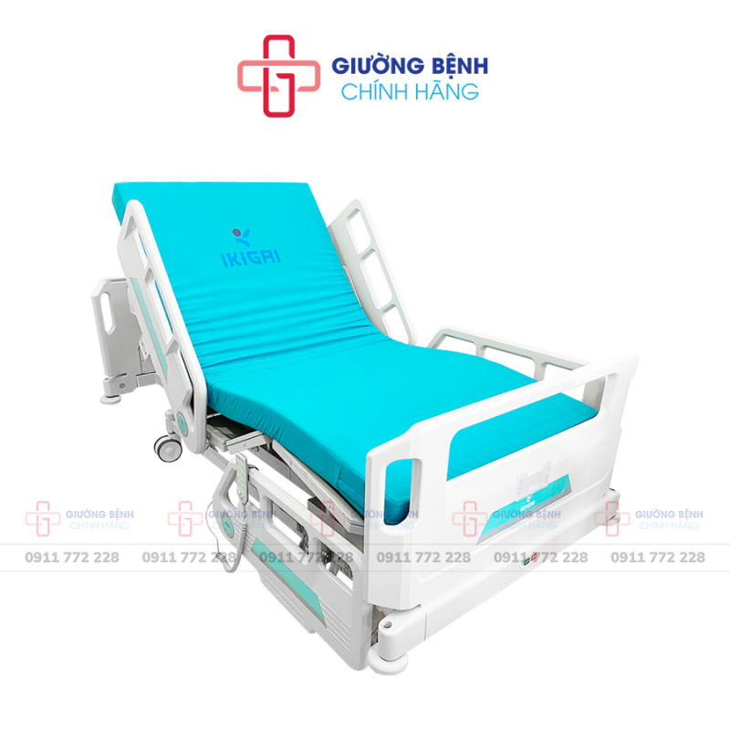 Giường Bệnh Chính Hãng