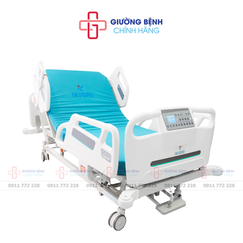 Giường Bệnh Chính Hãng