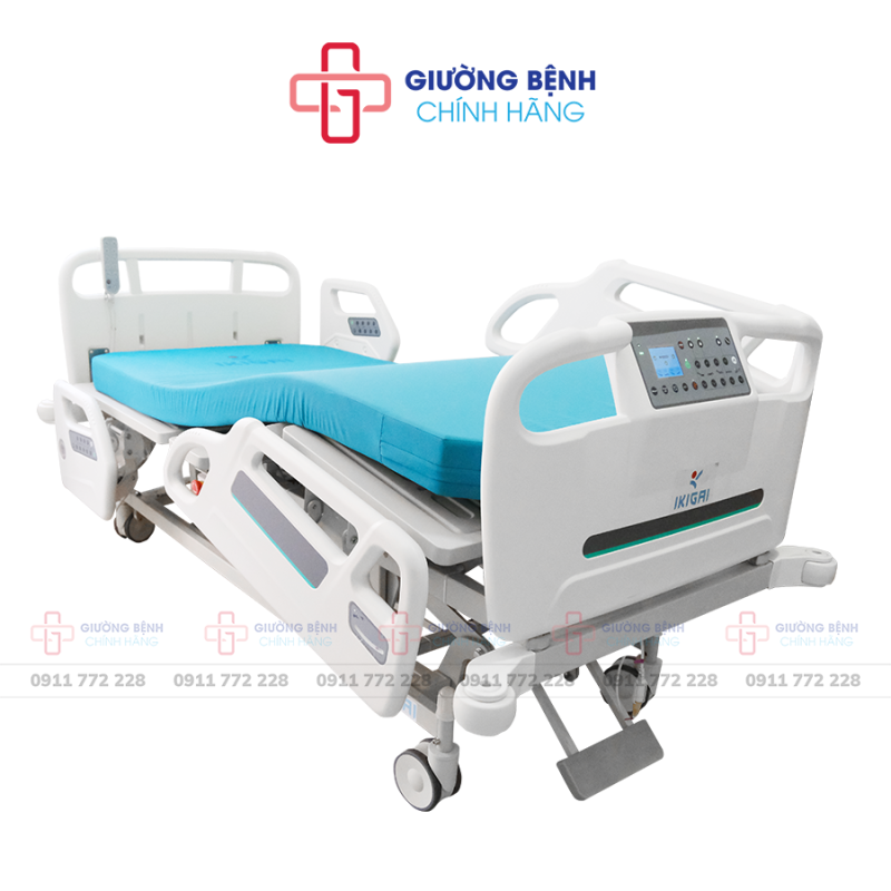 Giường Bệnh Chính Hãng