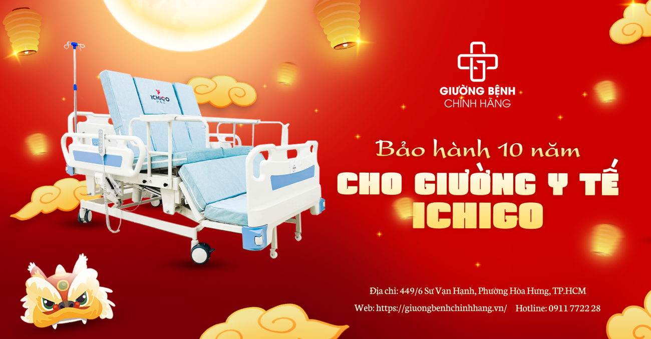 Giường Bệnh Chính Hãng