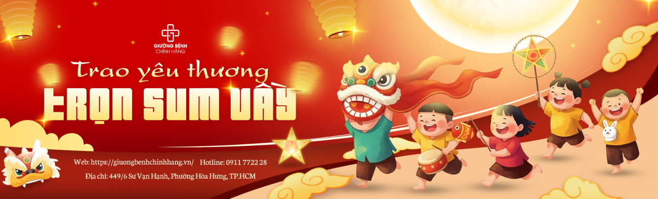 Giường Bệnh Chính Hãng