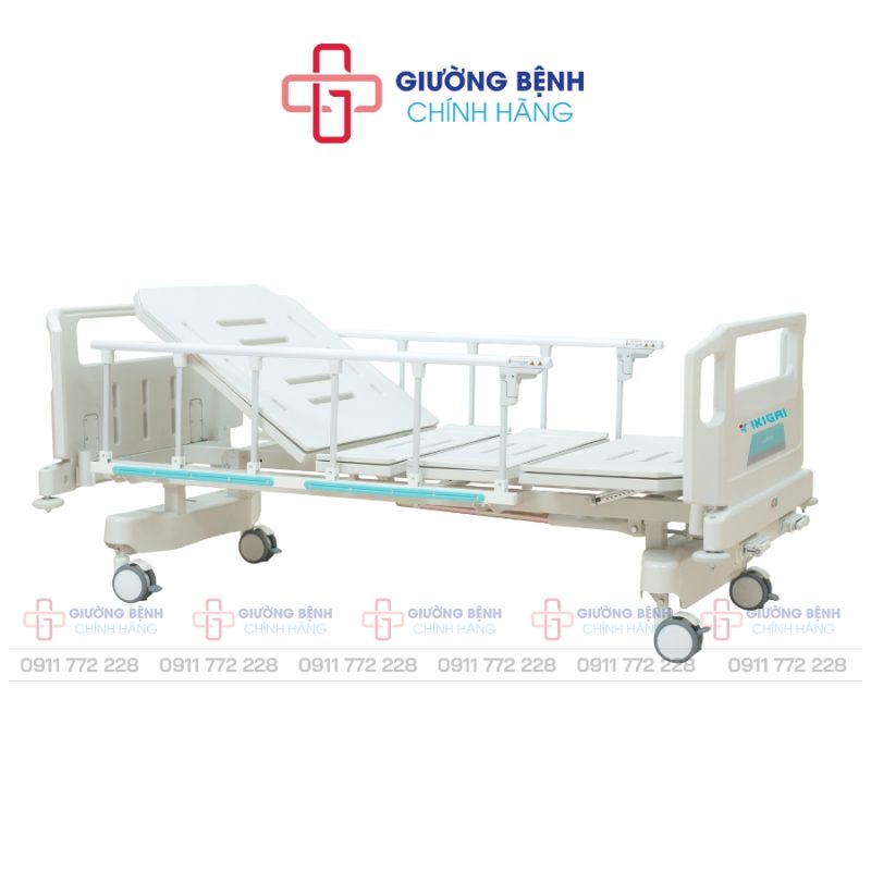 Giường Bệnh Chính Hãng