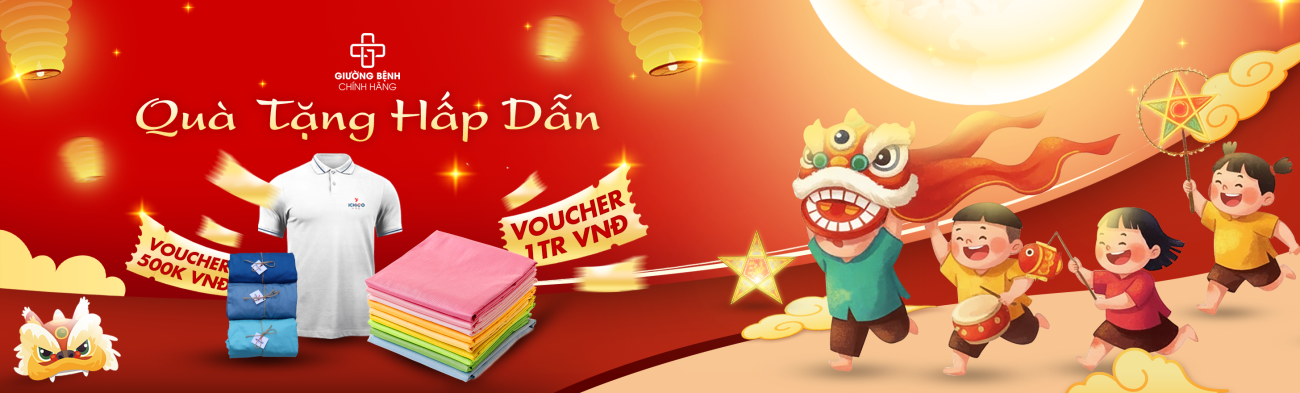 Giường Bệnh Chính Hãng