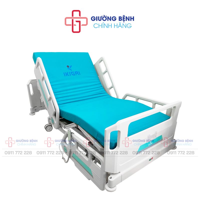 Giường Bệnh Chính Hãng