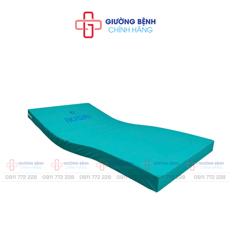 Giường Bệnh Chính Hãng