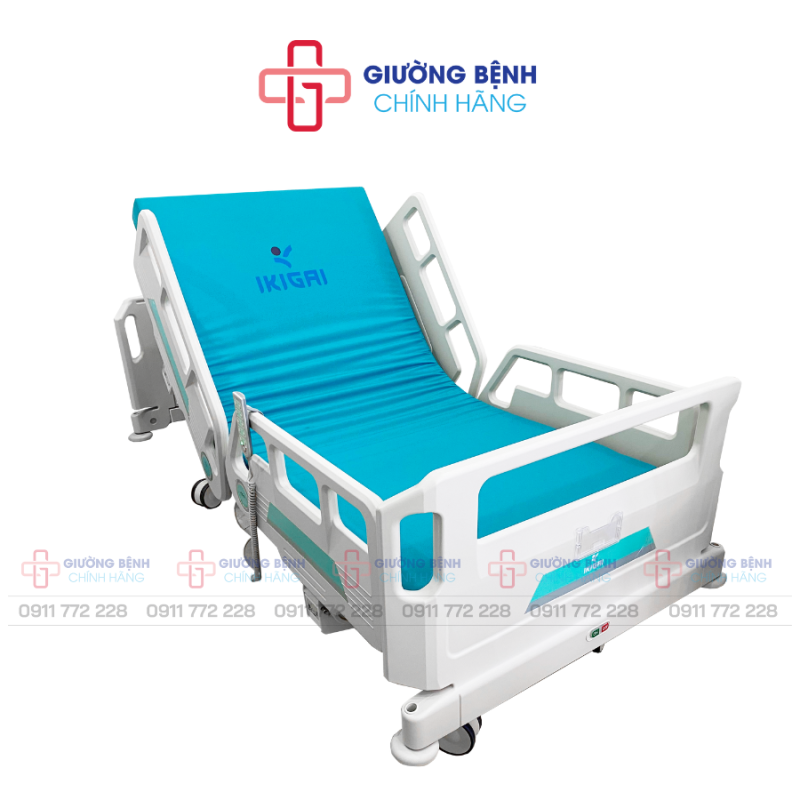 Giường Bệnh Chính Hãng